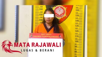 Pelaku Penipuan Uang Ratusan Juta Berhasil Diungkap Satreskrim Polresta Pangkalpinang